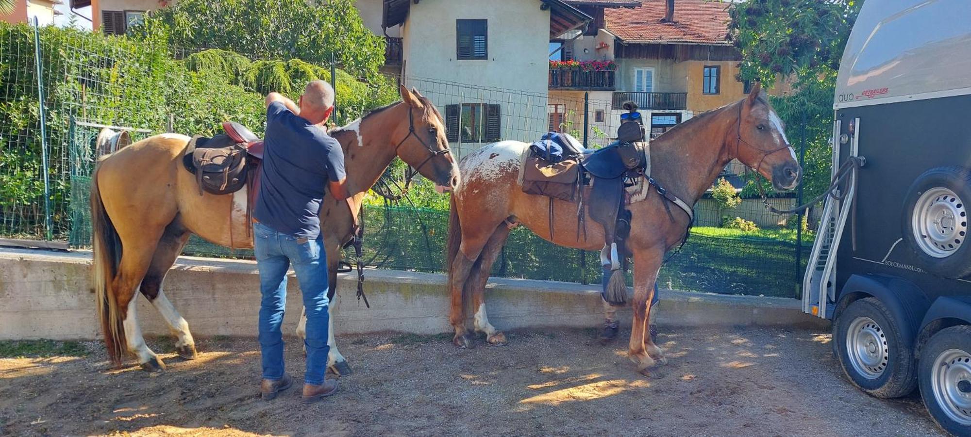 Horse House Bed & Breakfast Romallo Bagian luar foto